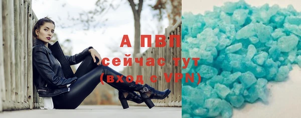 ПСИЛОЦИБИНОВЫЕ ГРИБЫ Новозыбков