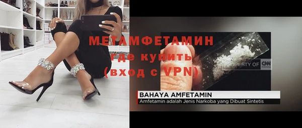 ПСИЛОЦИБИНОВЫЕ ГРИБЫ Новозыбков