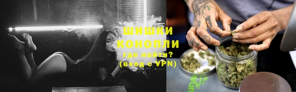 ПСИЛОЦИБИНОВЫЕ ГРИБЫ Новозыбков