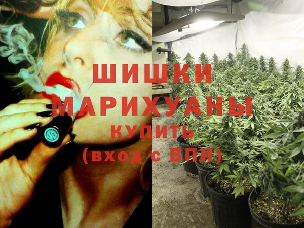 ГАЛЛЮЦИНОГЕННЫЕ ГРИБЫ Болотное