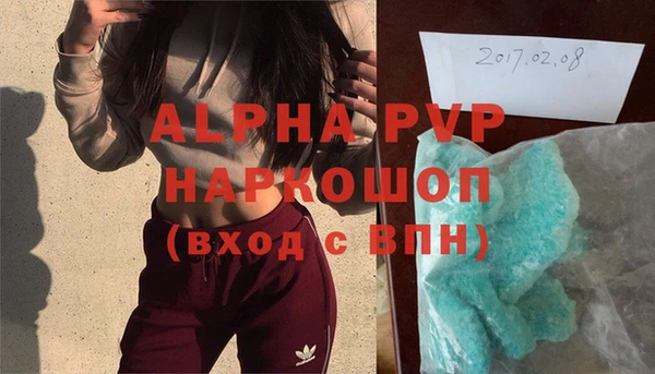 ПСИЛОЦИБИНОВЫЕ ГРИБЫ Новозыбков